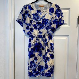 Blue and white floral Alice & Olivia dress XS in great condition. Worn once.